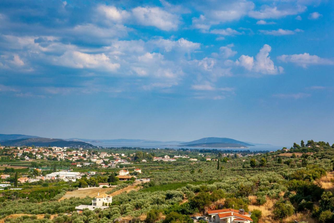 Aeolus Luxury Apartment - I Nauplion Zewnętrze zdjęcie